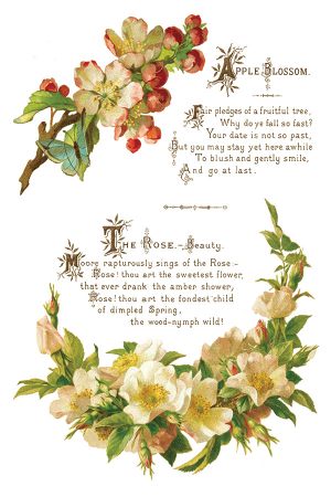Transfer decorativ IOD "Lover of Flowers" – set de 8 pagini A4 cu design floral vintage [1]