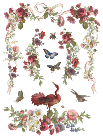 iod-transfer-madeleine-coperta.jpg [8]