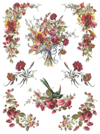 iod-transfer-madeleine-coperta.jpg [3]