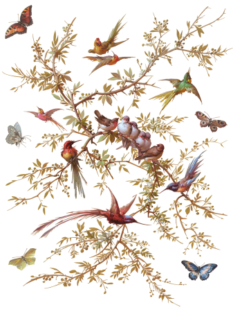 iod-transfer-madeleine-coperta.jpg [7]