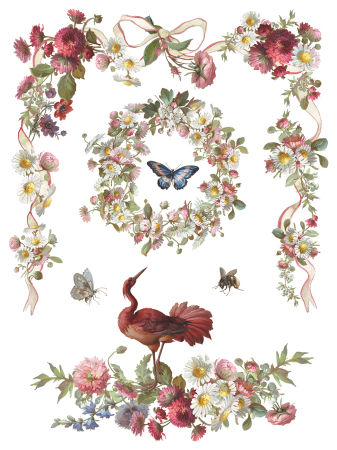 iod-transfer-madeleine-coperta.jpg [1]