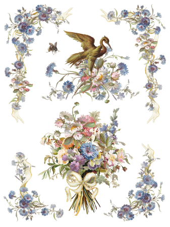 iod-transfer-madeleine-coperta.jpg [5]