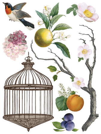 iod-menagerie-transfer-decorativ-animale-flori-exotice.jpg [3]