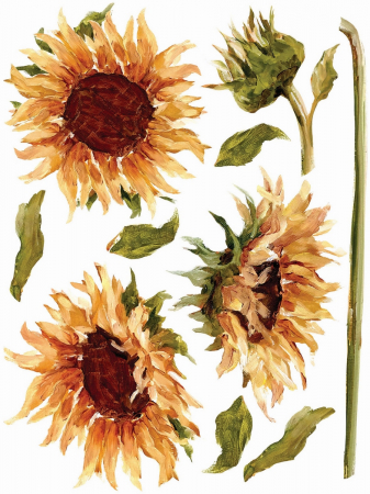 Transfer Decorativ PAINTERLY FLORALS - Set 8 Foi A3 pentru Mobilier și DIY [3]