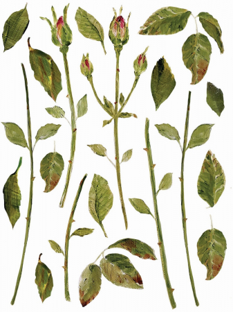 Transfer Decorativ PAINTERLY FLORALS - Set 8 Foi A3 pentru Mobilier și DIY [5]