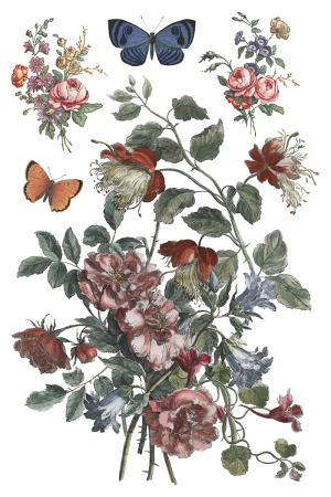 saint-ouen-transfer-decorativ-iod-cover.jpg [2]