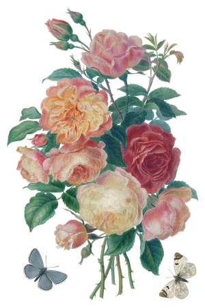 saint-ouen-transfer-decorativ-iod-cover.jpg [1]