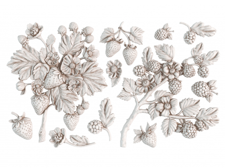 mulaj-decorativ-iod-wild-berries [2]