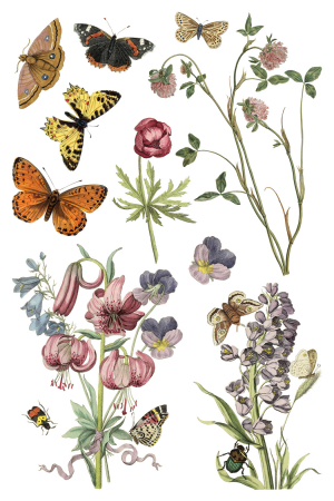 wilde-bloemen-transfer-decorativ-iod-front [4]