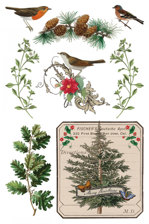 transfer-decorativ-iod-winter-botanist-coperta-fata.jpg [8]