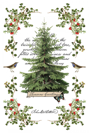 transfer-decorativ-iod-winter-botanist-coperta-fata.jpg [7]