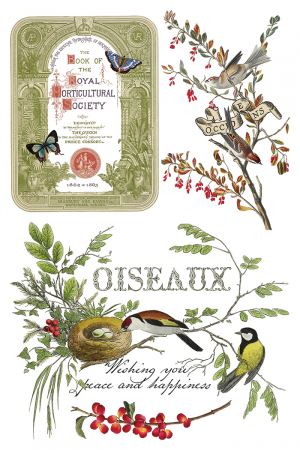 transfer-decorativ-iod-winter-botanist-coperta-fata.jpg [3]