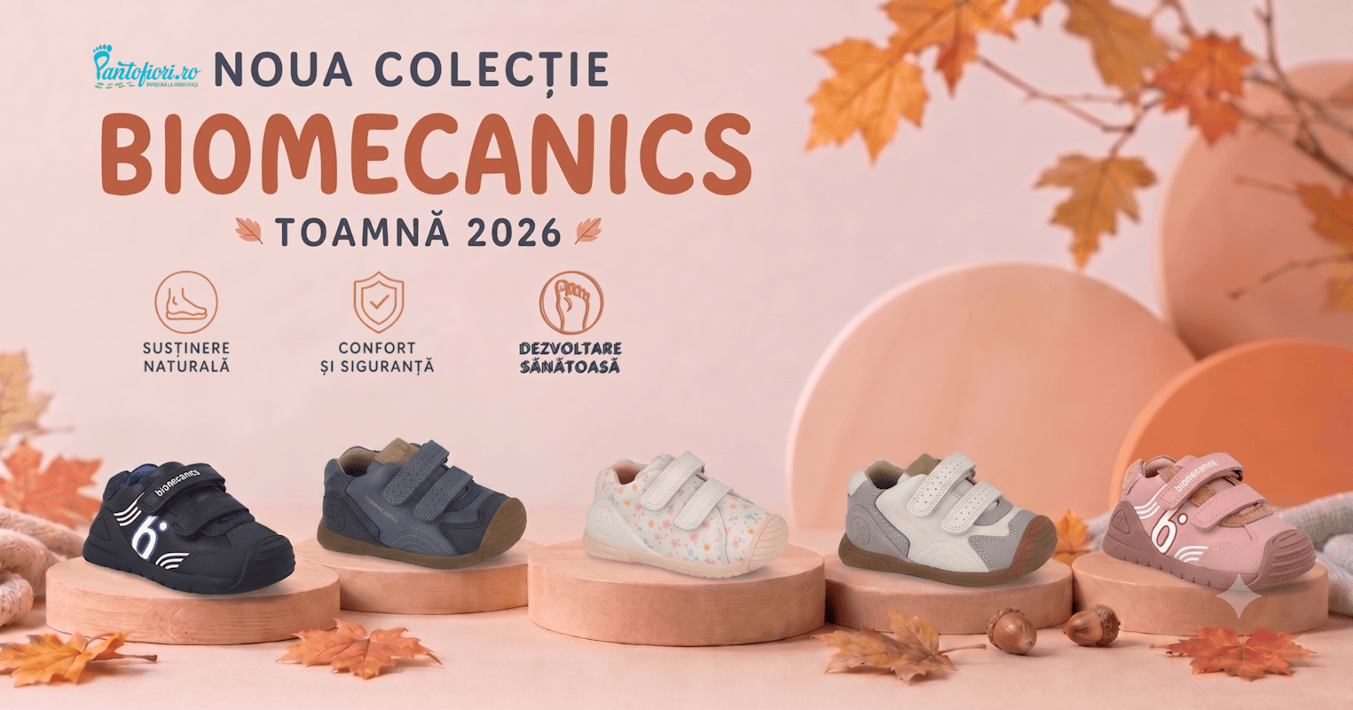 Autumn-Winter 2026