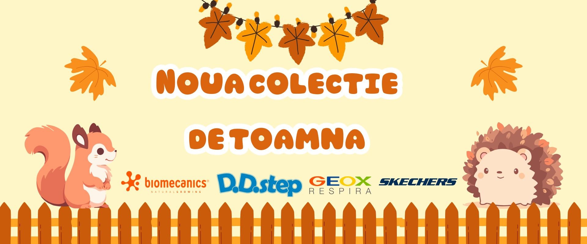 Noua Colectie de Toamna