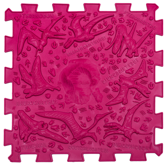 Covoras de masaj Ortek Dinozauri Puzzle-uri 12 elemente + 8 triunghiuri [12]