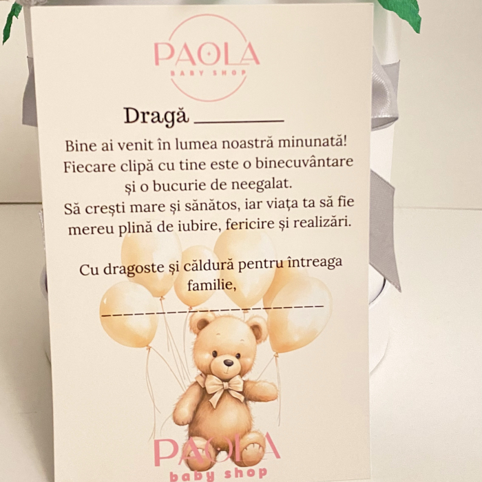 Bun venit pe lume – Cutie cadou nou-născut băiețel [5]