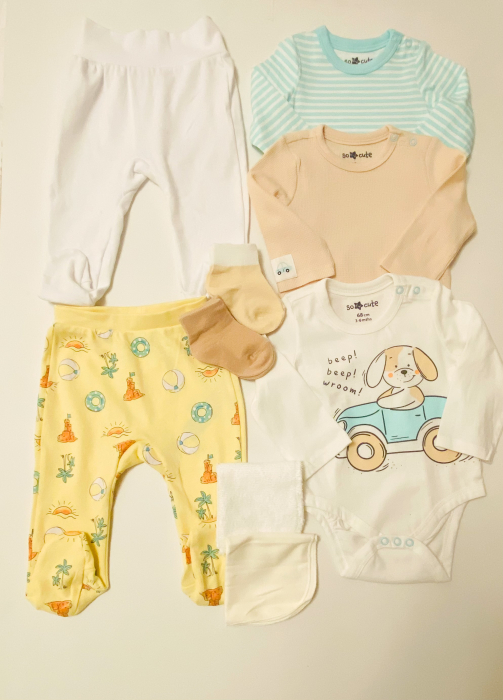 Cutie cadou nou născut băiețel - Cățel jucăuș [4]