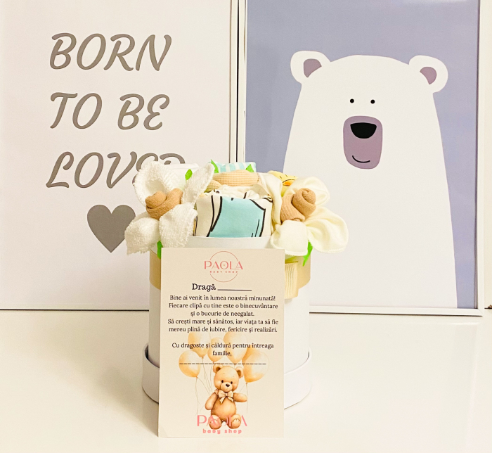 Cutie cadou nou născut băiețel - Cățel jucăuș [3]