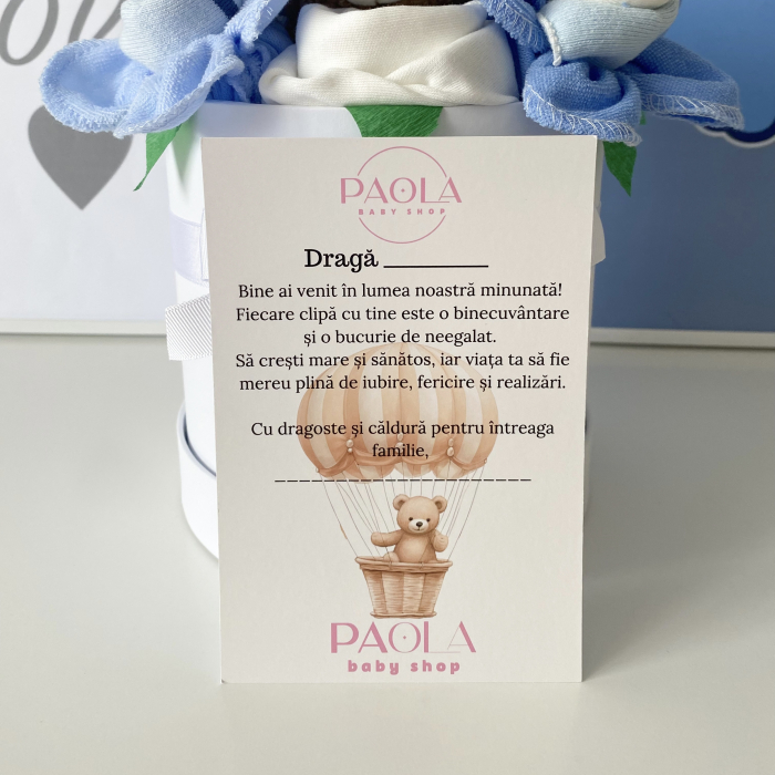 Set Cadou Nou-Născut  8 piese Blue [6]
