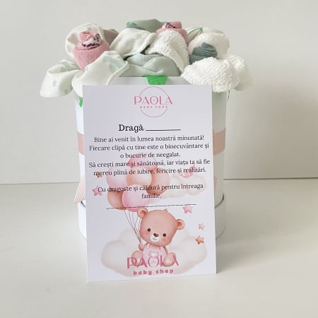 Cutie cadou nou născut fetiță 9 piese Spring [5]