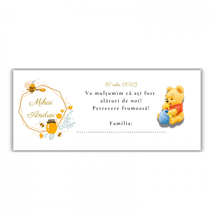 Plicuri de bani - Winnie The Pooh [1]