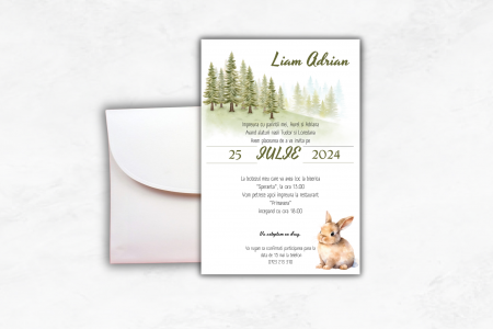 Invitatii de botez - Invitatie Botez: Forest