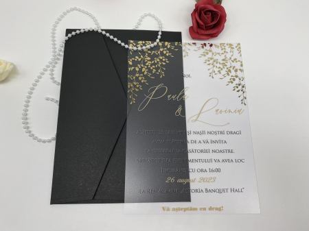 Invitatii de nunta Plexiglas 9214ek [1]
