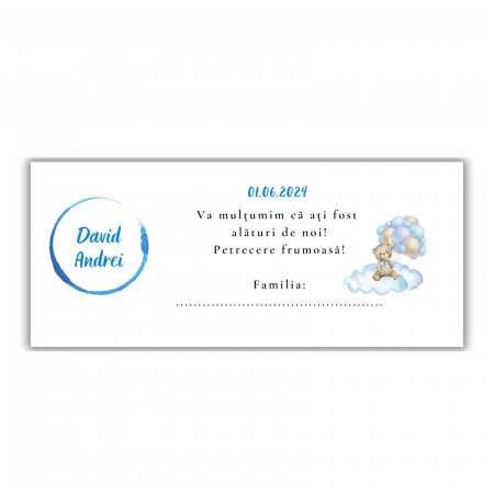 Plicuri de dar - Plicuri de bani - Blue Bear