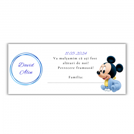 Plicuri de dar - Plicuri de bani - Mickey Mouse