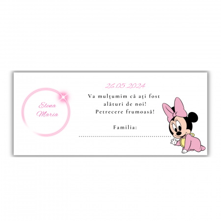 Plicuri de dar - Plicuri de bani - Minnie Mouse