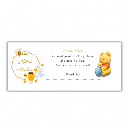 Plicuri de dar - Plicuri de bani - Winnie The Pooh