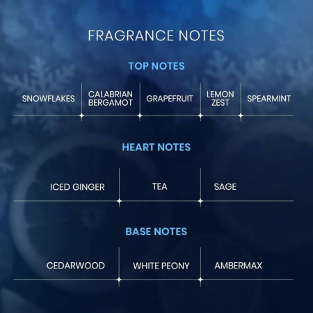 Freeze, Riiffs, Unisex – Extract de Parfum 100ml [2]
