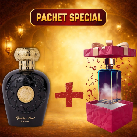 Pachete Speciale - Parfum Surpriză - Opulent Oud + Parfum Surpriză 100ml