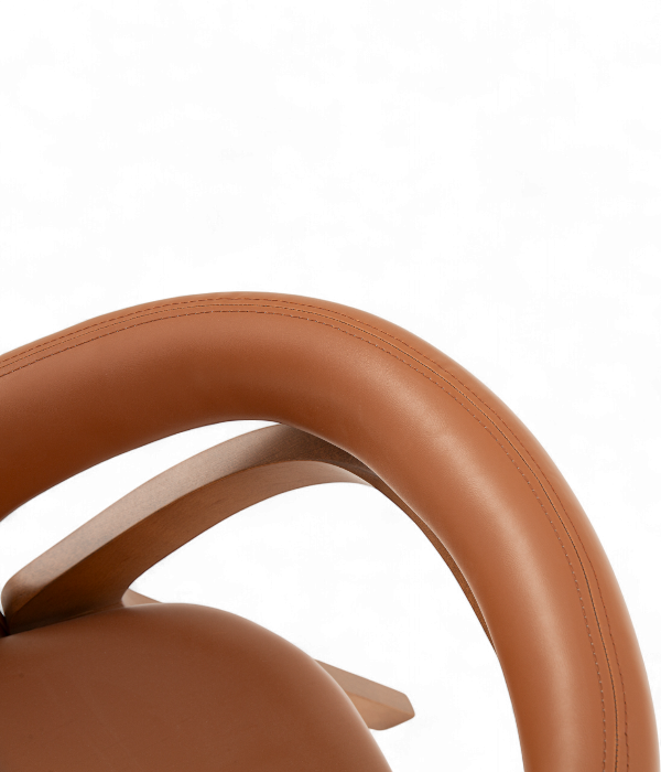 Scaun din lemn pentru casa, horeca, office- LUI [8]