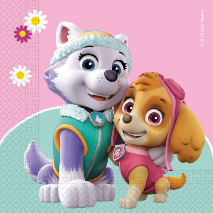 Set vesela petrecere Paw Patrol Skye si Everest, 36 Piese [2]
