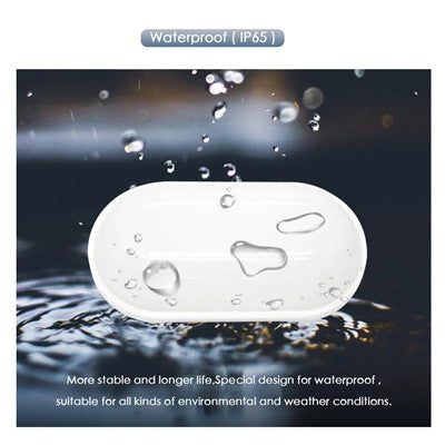Aplica LED de Exterior AX320/218WH, Lumina Calda 3000K, IP65, Alb, Metal [10]
