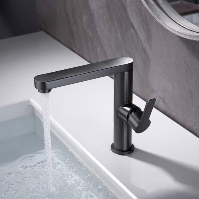 Baterie Lavoar, Alama Sanitara, Negru, 9107H [9]