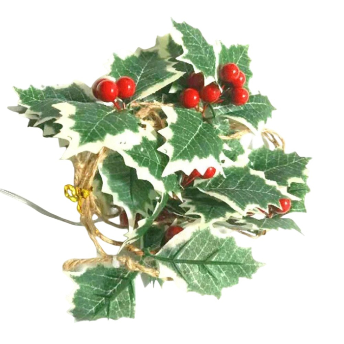 Instalatie Craciun cu baterii, 2 metri, 20 LED-uri tip fructe rosii, Alb Cald, Flippy [7]