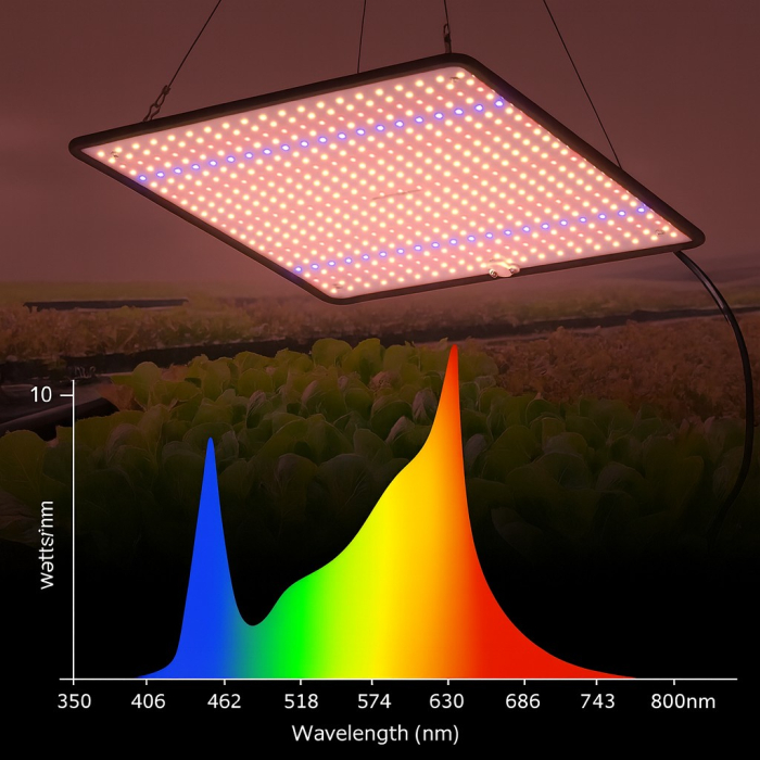 Lampa Crestere Plante, Flippy, Model Keel Edge, 500 LED, 85-265 V, 45 W, Spectru Alb Cald, Rosu si Albastru, 30 x 30 cm, Negru [3]