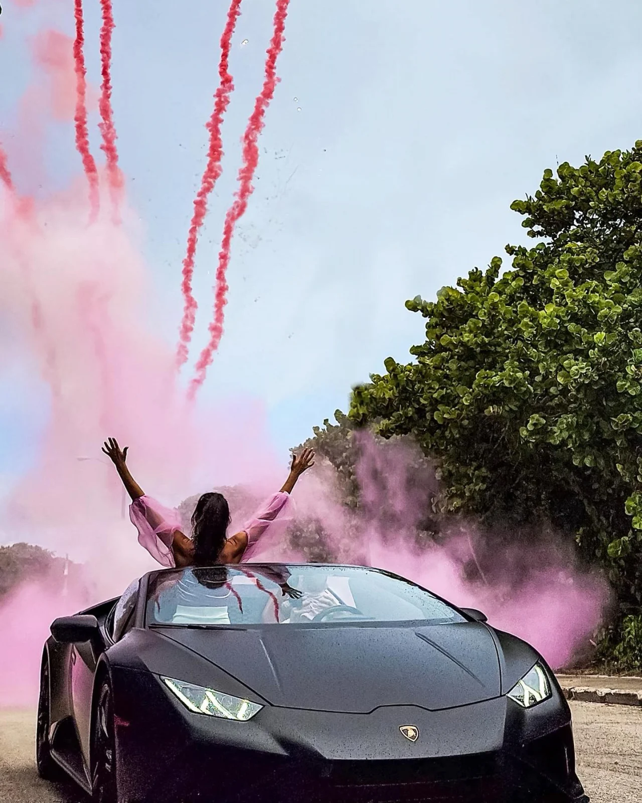 Artificii de zi Roz Gender Reveal [3]