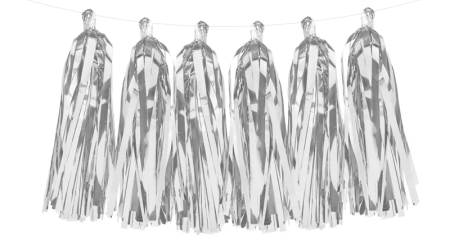 Bride-Box - girlanda decorativa franjuri argintii, 200 cm