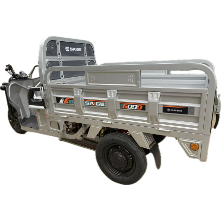 Triciclu Electic de Marfa Chuanqi, Saige, Fara Permis, Motor 1600W, Baterie 72V32Ah, Autonomie 60km, 250x88x115 cm, Viteza Maxima 25km/h, Gri [6]