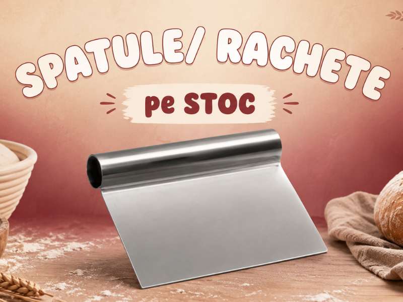 SPATULE RASCHETE