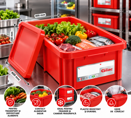 Totul pentru Cofetarie, Patiserie,Pizza - Cutie cu capac depozitare transport alimente 35 L - G119809