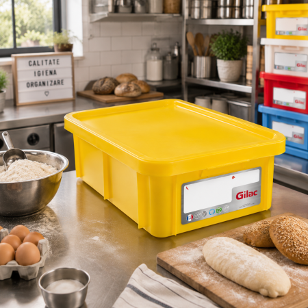 Depozitare,transport - Cutie Cu Capac Depozitare - Transport Alimente 25 L