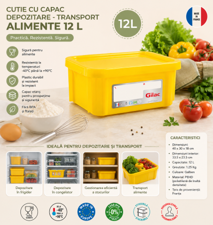 Accesorii Horeca/Depozitare/Transport - Cutie Cu Capac Depozitare - Transport Alimente 12 L