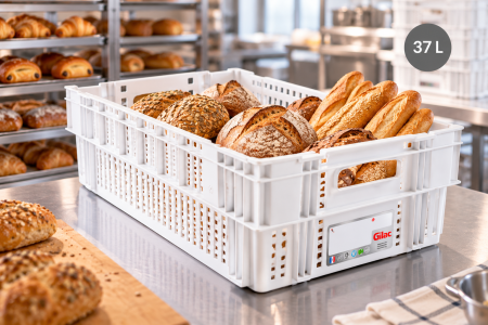 Accesorii Horeca/Depozitare/Transport - Lada perforata depozitare transport alimente semipreparate 37 L