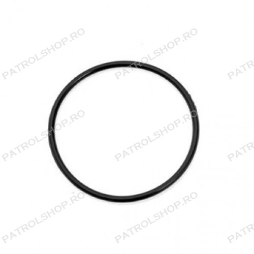 Vacuum pump o-ring OEM Nissan Patrol Y61 3.0 ZD30 - PATROL SHOP [1]