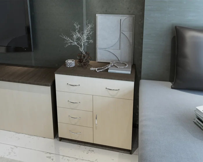 Comoda 1-3-1 Ro, Wenge + Mesteacan [3]