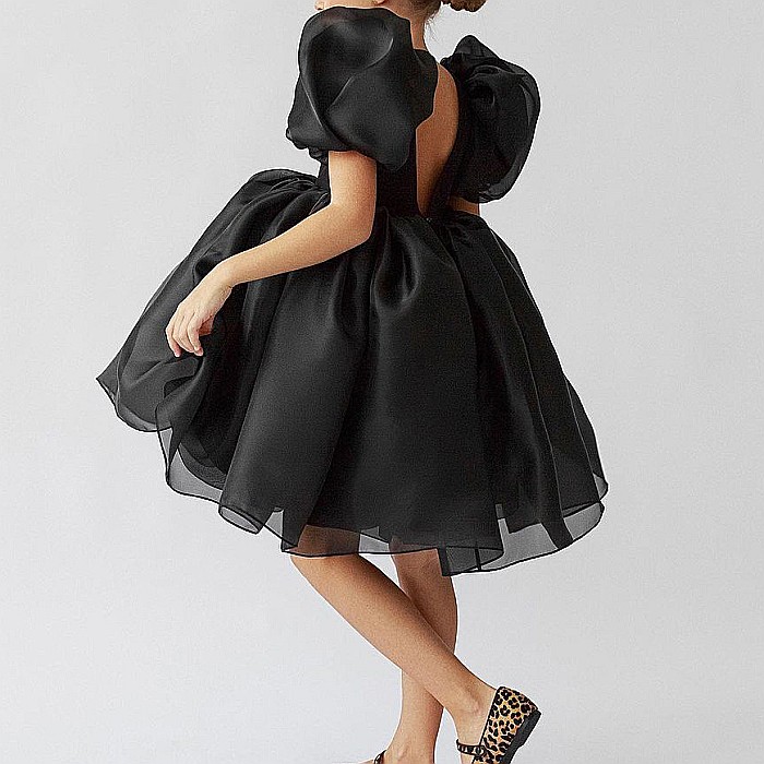Rochita Black Swan [3]